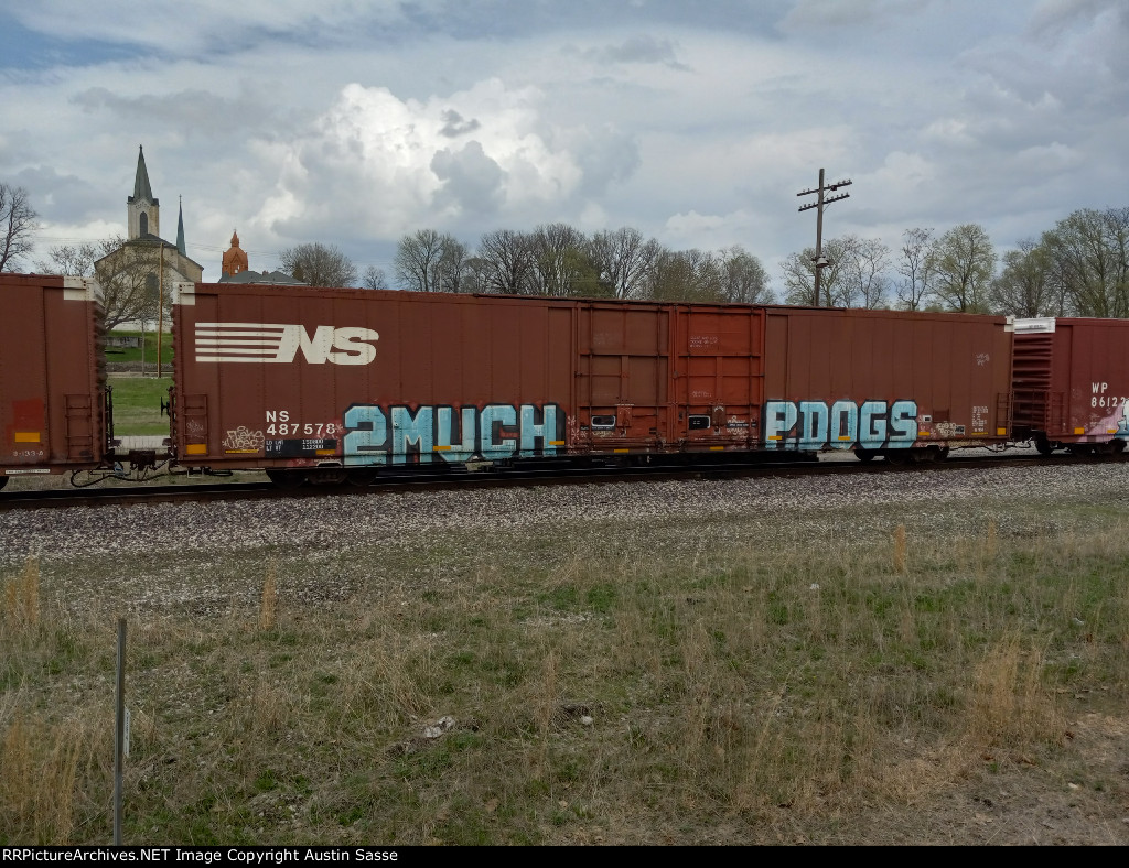 NS 487758